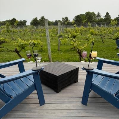 gallery photo number 5