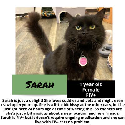 gallery photo number 10