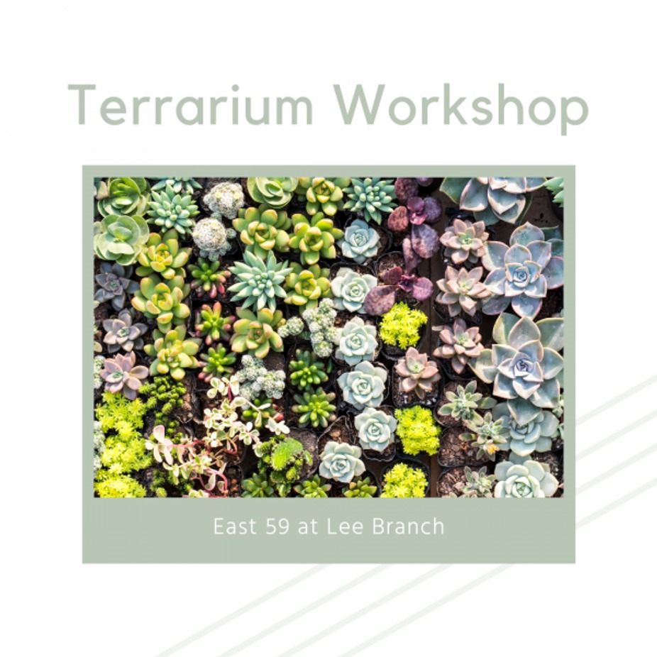 Tiny Terrarium Workshop event photo