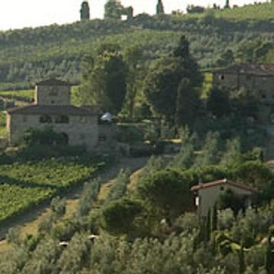 Countryside vineyard landscape with stone buildings.