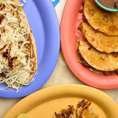 gallery photo number 79