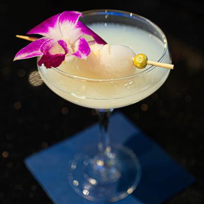 gallery photo number 7