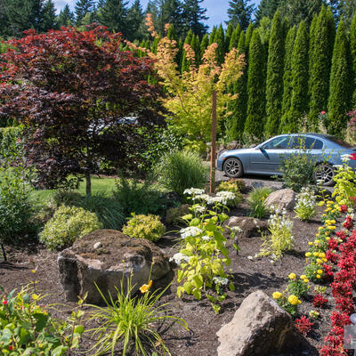 Back door flower garden
