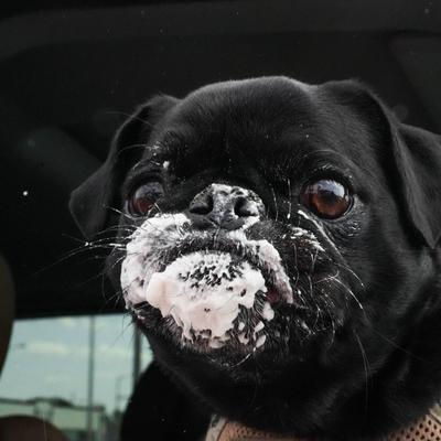 gallery photo number 38