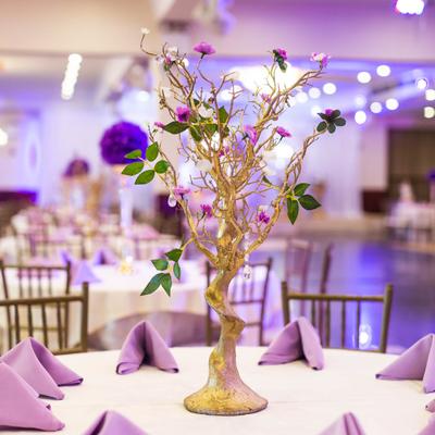 gallery photo number 7