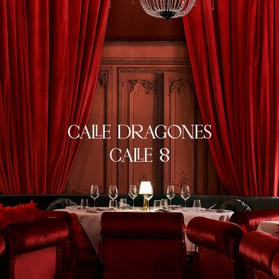 Calle dragones calle 8 sign.