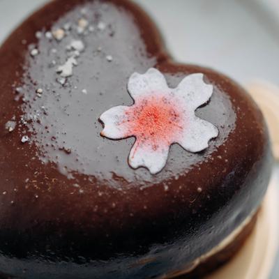 Chocolate heart-shaped dessert, close-up.