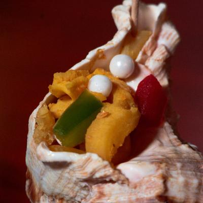 Conch ceviche, closeup.