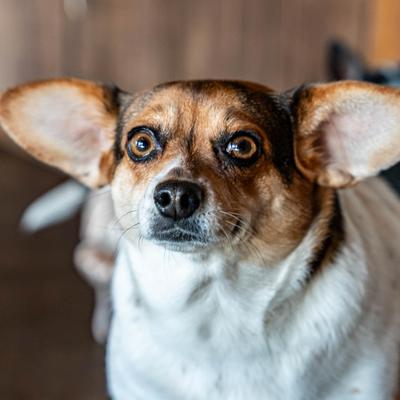 gallery photo number 3