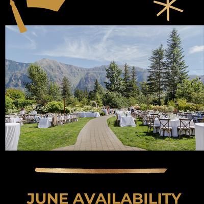 gallery photo number 333