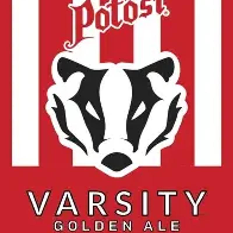 Potosi Varsity photo