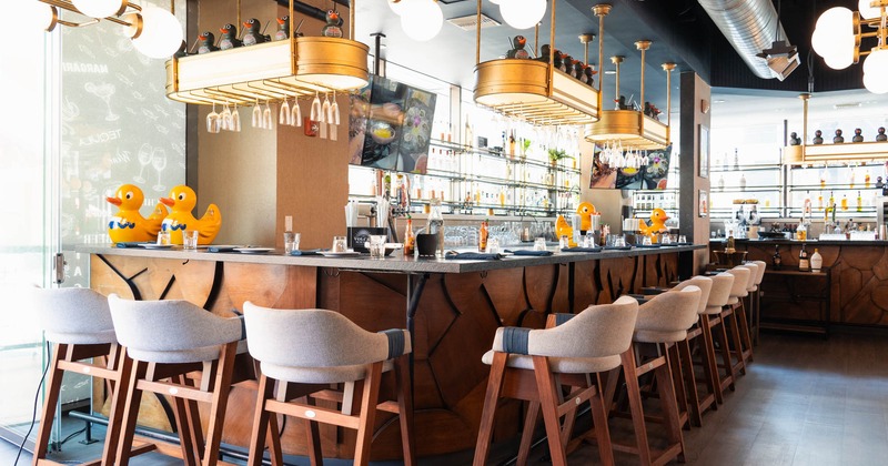 Bar area, bar stools neatly lined up