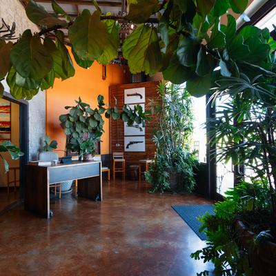 Mesa Mexican Cuisine interior.