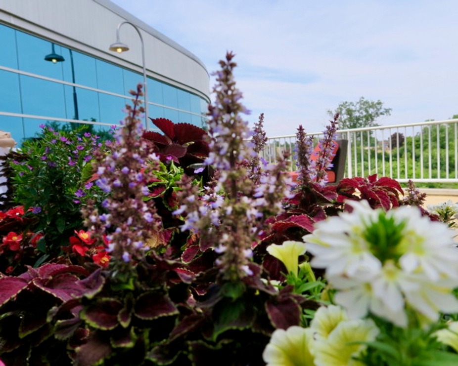 Mother's Day event photo