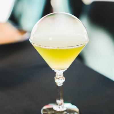 gallery photo number 62