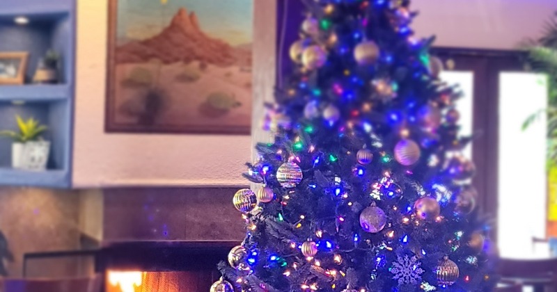 Interior, table ready for guests