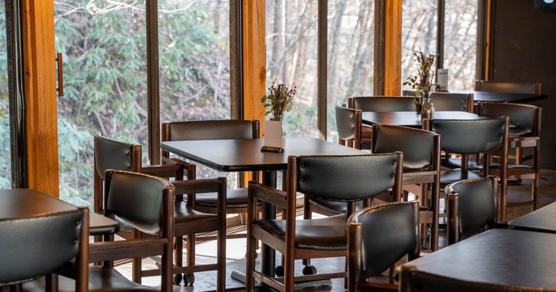 Interior, tables and chairs next to the window