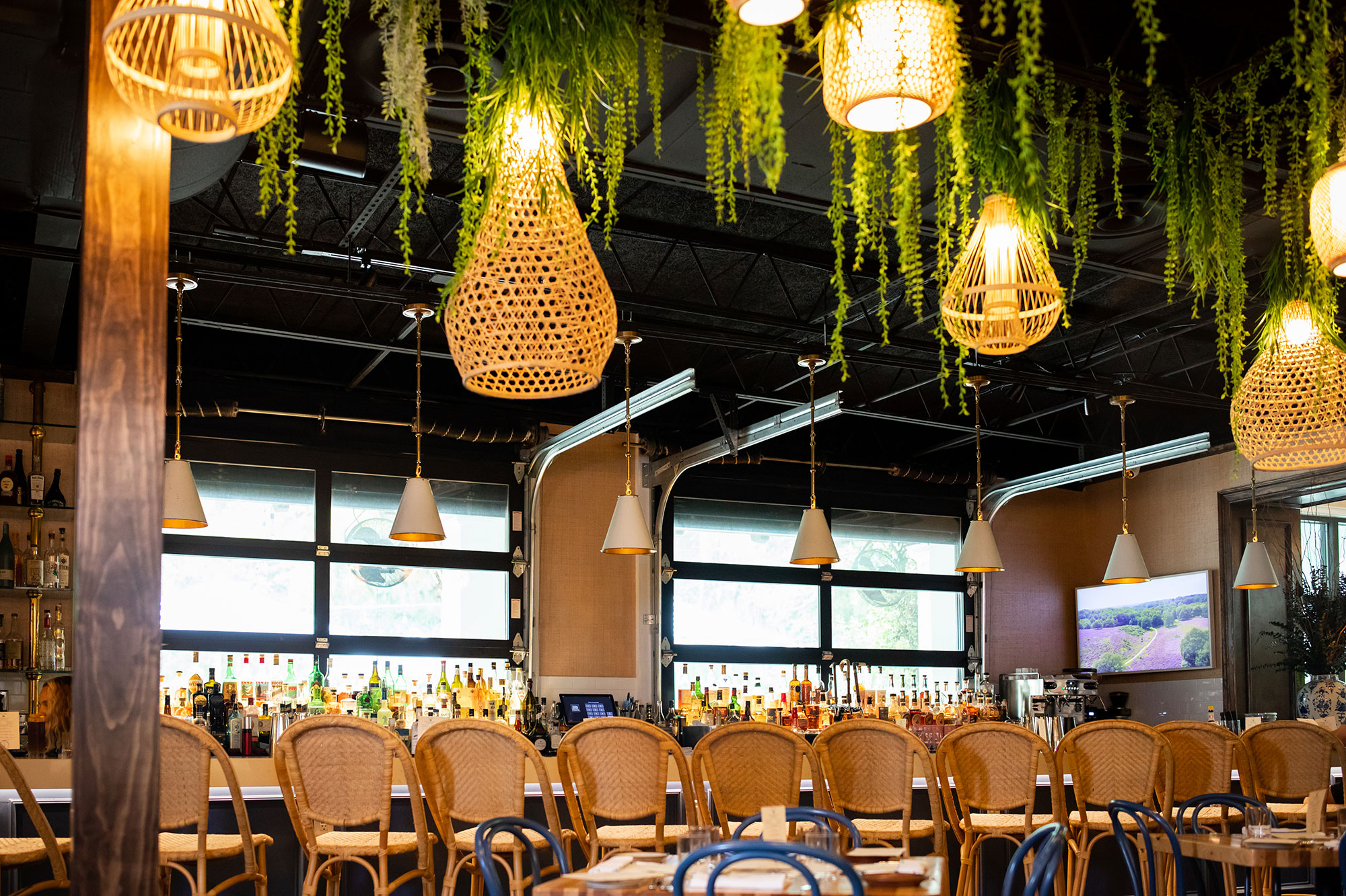 Interior, bar and seating area, rattan pendant light and greenery on the ceiling