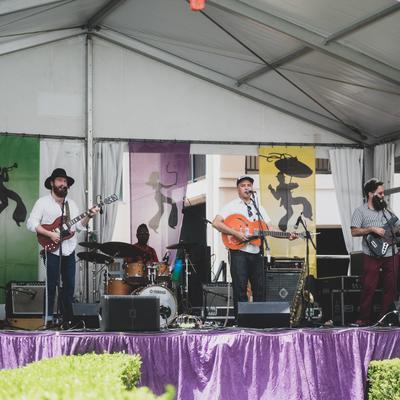 gallery photo number 374