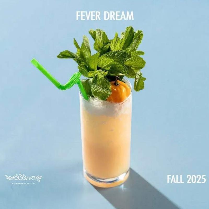 Fever Dream photo