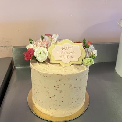 gallery photo number 96