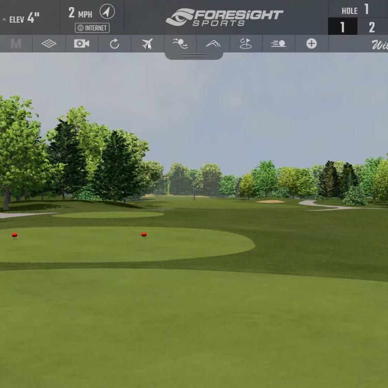 Golf simulator game landscape