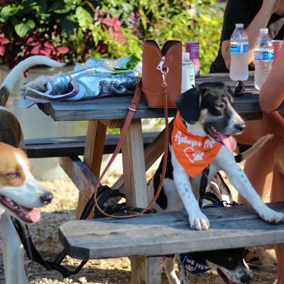 gallery photo number 23