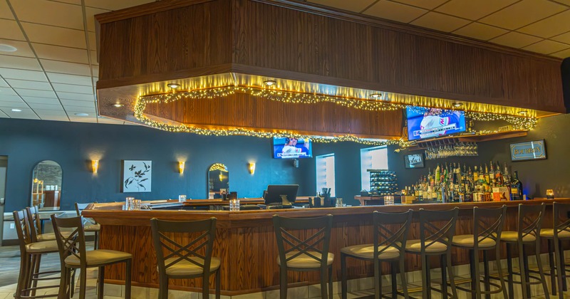 Interior, bar area
