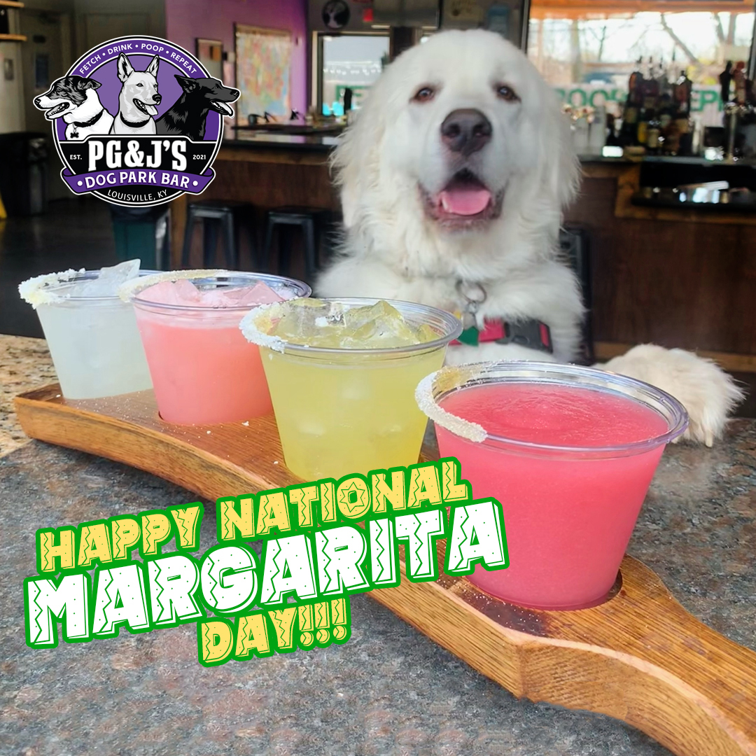 Margarita flight with white dog in the background inside the bar.