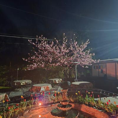 gallery photo number 19