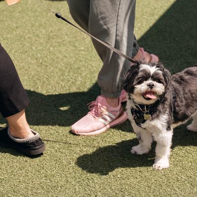 gallery photo number 25