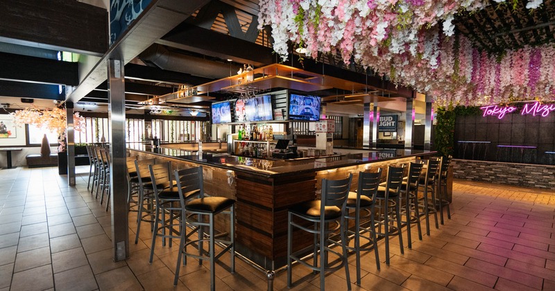 Interior,  a large bar area,  a ceiling is decorated with hanging flowers