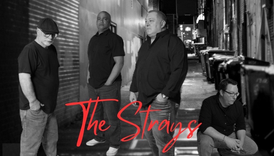 The Strays event photo