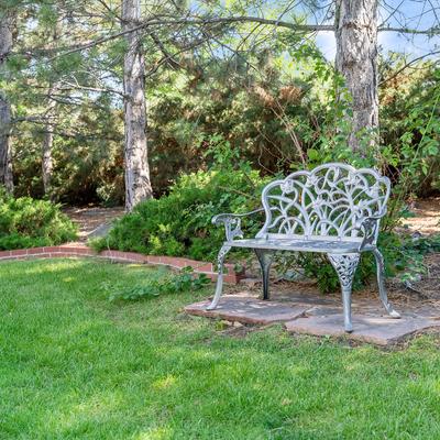 Empty bench near tree