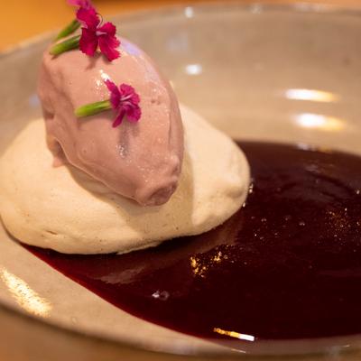 gallery photo number 101