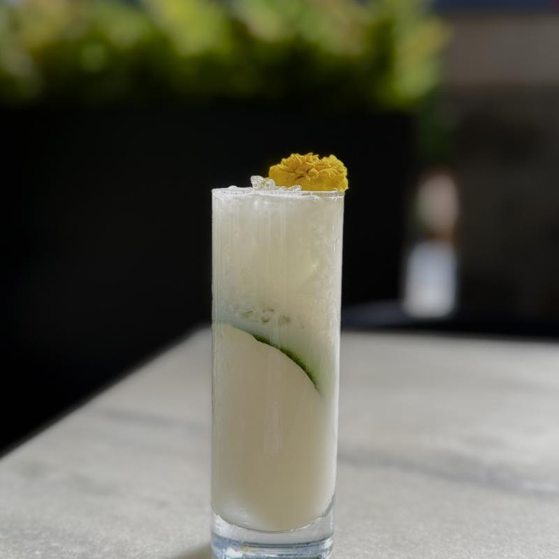 Serpents Elixer photo