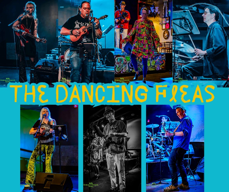 The Dancing Fleas event photo