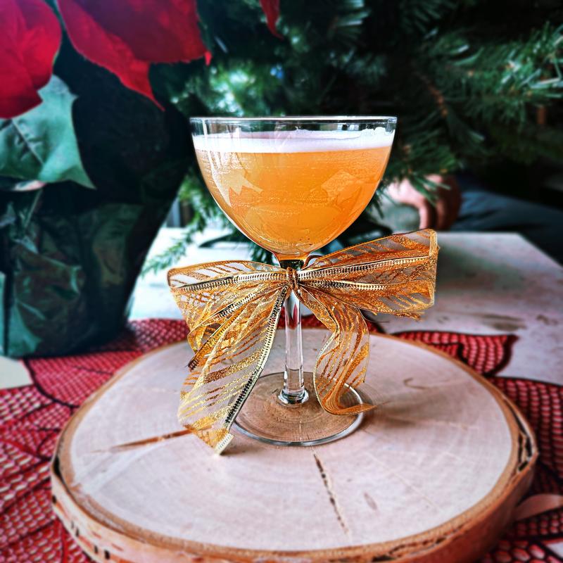 Emotional Support Robot photo