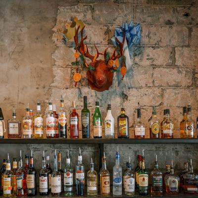 Liquor bottles lined up on a double shelf, front view.