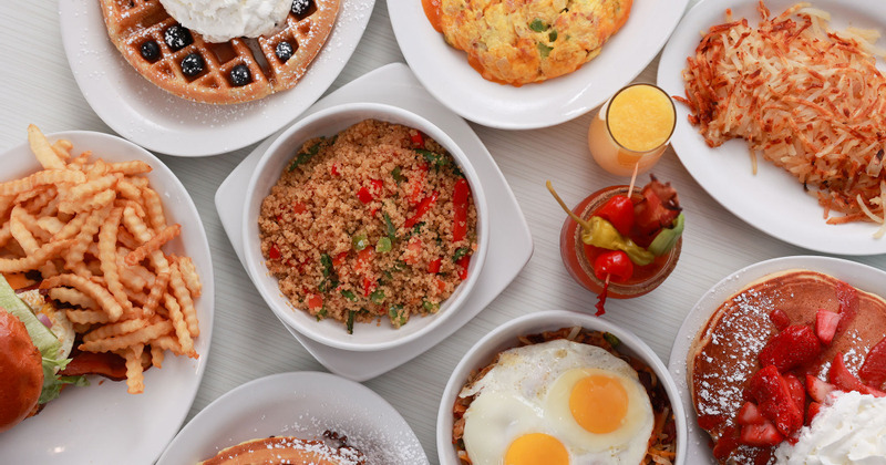 Assorted dishes, top view