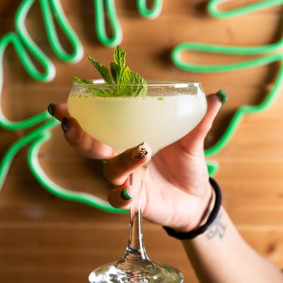 gallery photo number 56