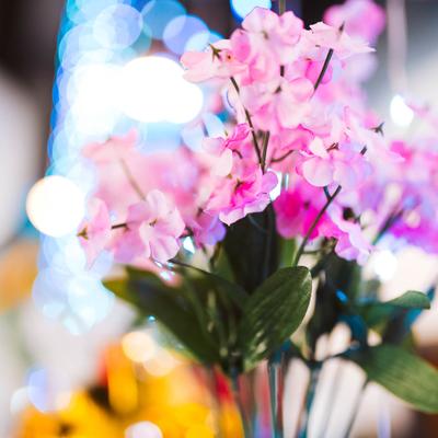 Pink flowers in a glass vase, set against a background of  blue and white bokeh lights.