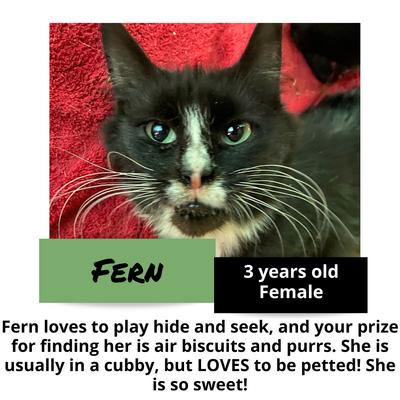 gallery photo number 14