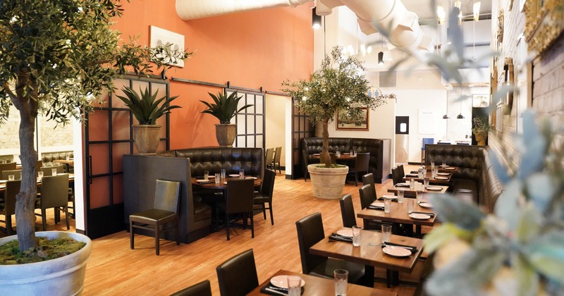 A modern restaurant - black leather booths, wooden tables, and potted olive trees.
