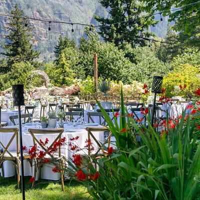 gallery photo number 218