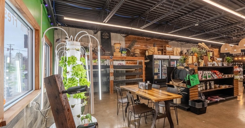 Seating area with lots of light, organic style