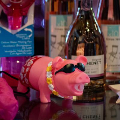 gallery photo number 66