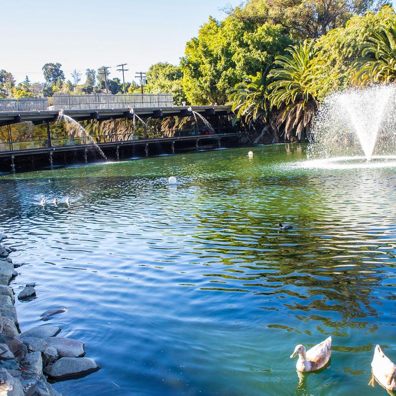SALMON BENEDICT photo