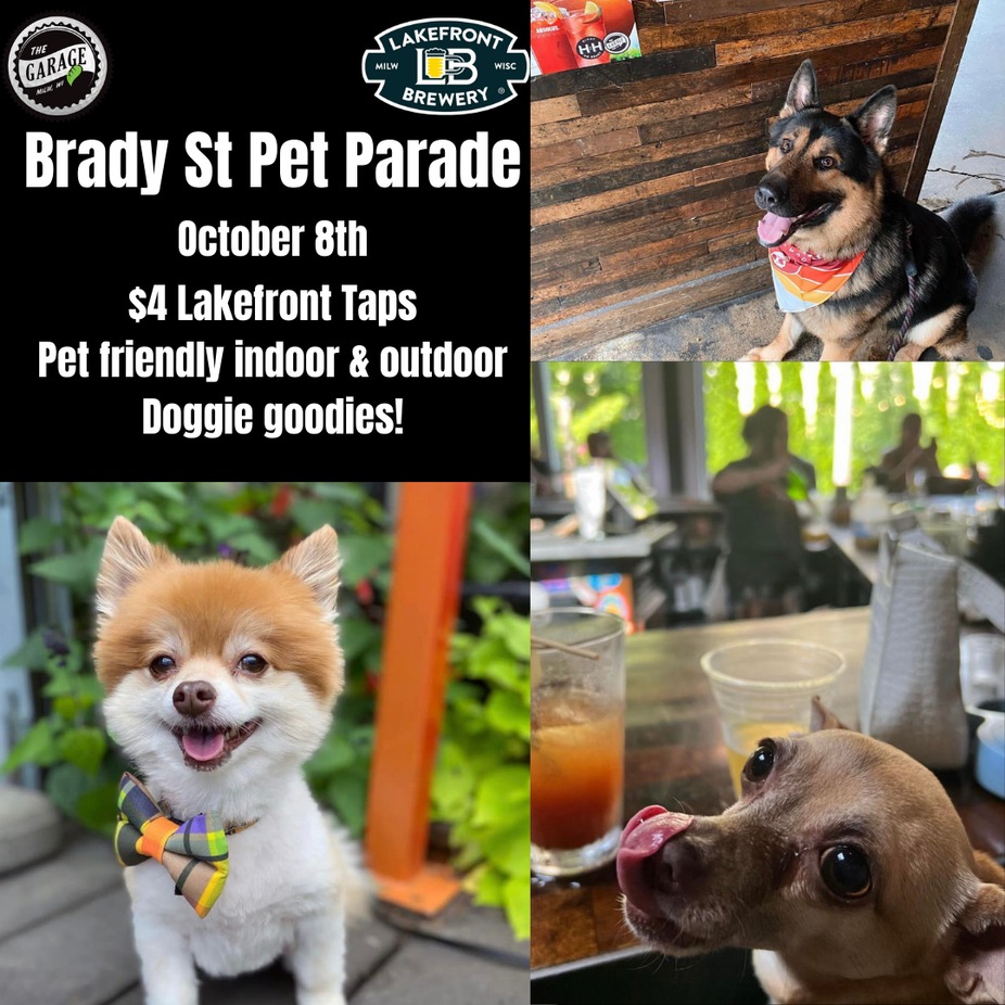 Brady St Pet Parade event photo