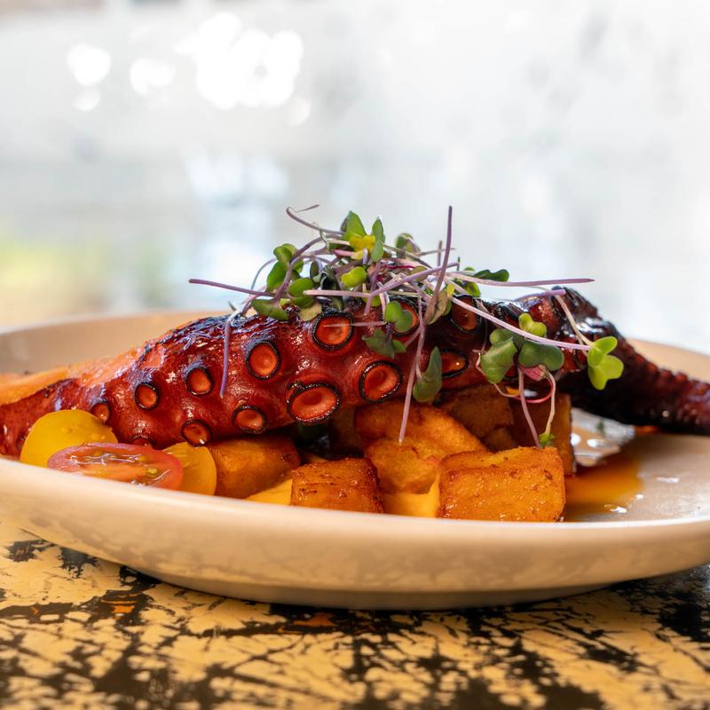 Spanish Grilled Octopus photo